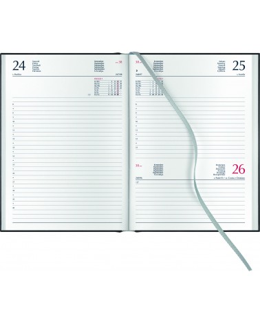 AGENDA GIORNALIERA QUADRETTATA GI9166 CM 15X21