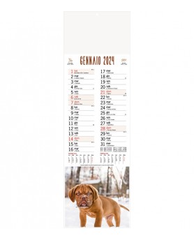 Calendari Silhouette Cani e Gatti Santa Teresa di Riva - Messina