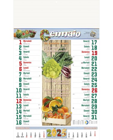 Calendari Illustrati 12 Fogli Frutta e Ortaggi Santa Teresa di Riva - Messina